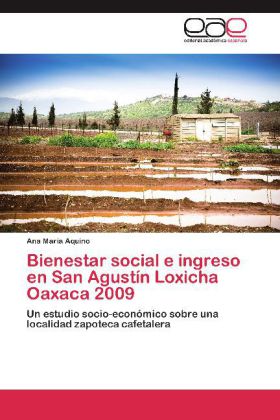Bienestar social e ingreso en San Agustín Loxicha Oaxaca 2009 