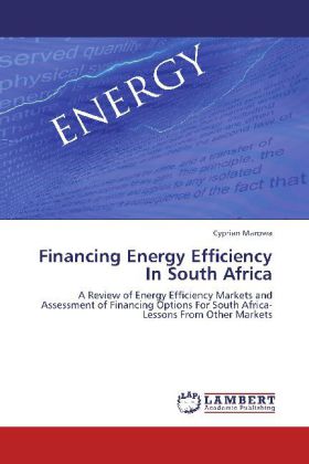 Financing Energy Efficiency In South Africa 