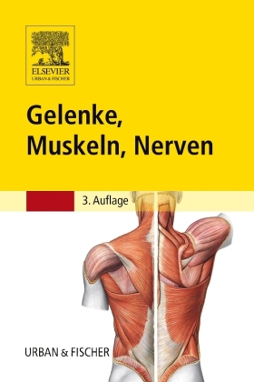 Gelenke, Muskeln, Nerven