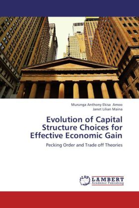 Evolution of Capital Structure Choices for Effective Economic Gain 