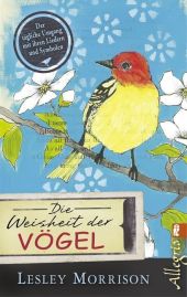 kein Cover