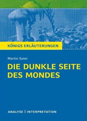 Die dunkle Seite des Mondes von Martin Suter 