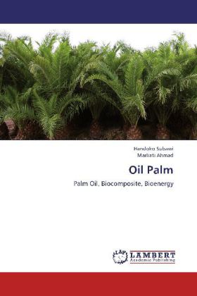 Oil Palm 