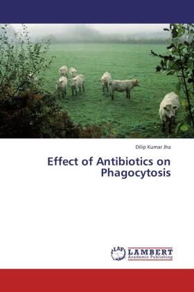 Effect of Antibiotics on Phagocytosis 