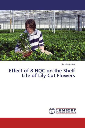 Effect of 8-HQC on the Shelf Life of Lily Cut Flowers 