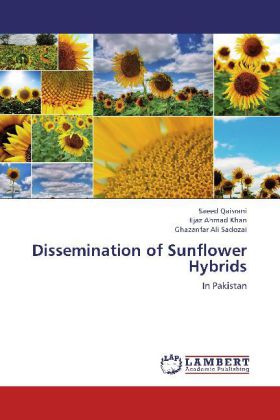 Dissemination of Sunflower Hybrids 