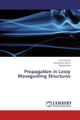 Propagation in Lossy Waveguiding Structures 