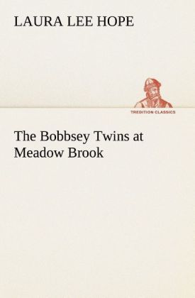 The Bobbsey Twins at Meadow Brook 