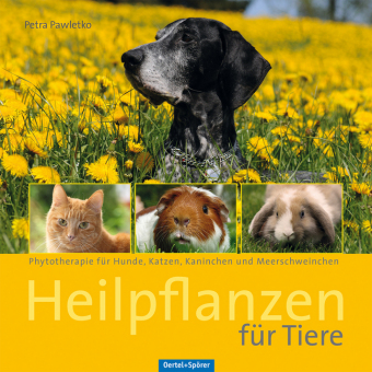 Heilpflanzen für Tiere 