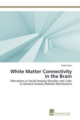 White Matter Connectivity in the Brain 