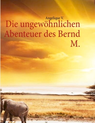 Die ungewöhnlichen Abenteuer des Bernd M. 