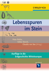 kein Cover