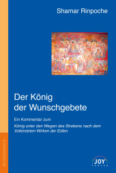 kein Cover