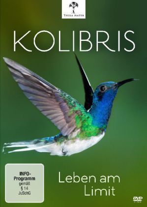 Kolibris - Leben am Limit, 1 DVD