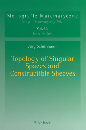 Topology of Singular Spaces and Constructible Sheaves 