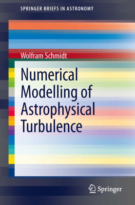 Numerical Modelling of Astrophysical Turbulence 