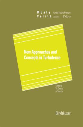 New Approaches and Concepts in Turbulence 