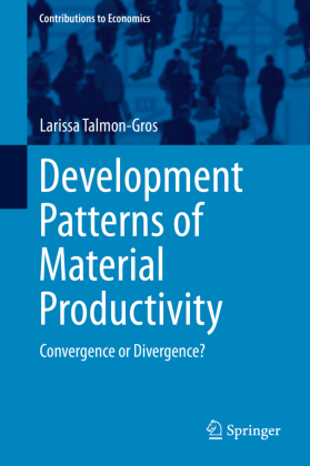 Development Patterns of Material Productivity 