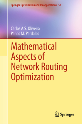 Mathematical Aspects of Network Routing Optimization 