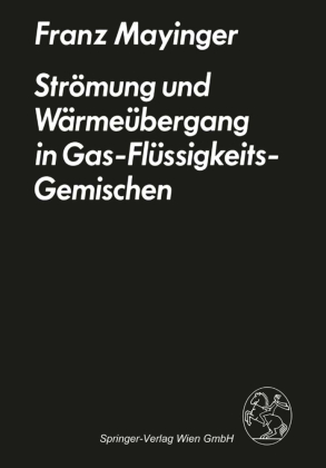 Strömung und Wärmeübergang in Gas-Flüssigkeits-Gemischen 