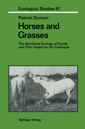 Horses and Grasses 