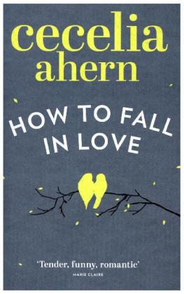How to Fall in Love 
