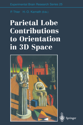 Parietal Lobe Contributions to Orientation in 3D Space 