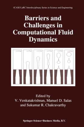 Barriers and Challenges in Computational Fluid Dynamics 