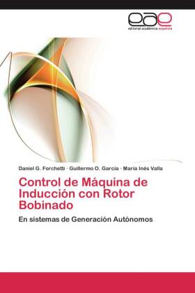 Control de Máquina de Inducción con Rotor Bobinado 