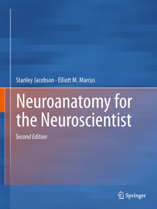Neuroanatomy for the Neuroscientist 