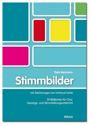 Stimmbilder, 30 Bildkartons m. Begleitbuch 