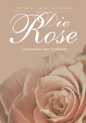 Die Rose: Geschichte und Symbolik 