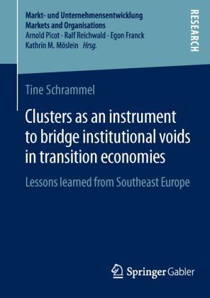 Clusters as an instrument to bridge institutional voids in transition economies 