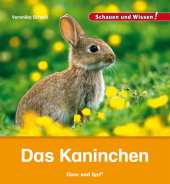 kein Cover