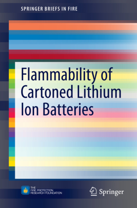 Flammability of Cartoned Lithium Ion Batteries von R. Th. Long