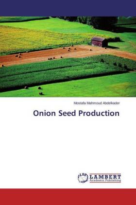 Onion Seed Production 