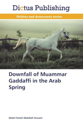 Downfall of Muammar Gaddaffi in the Arab Spring 