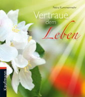 kein Cover