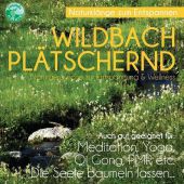 Wildbach Plätschernd, 1 Audio-CD
