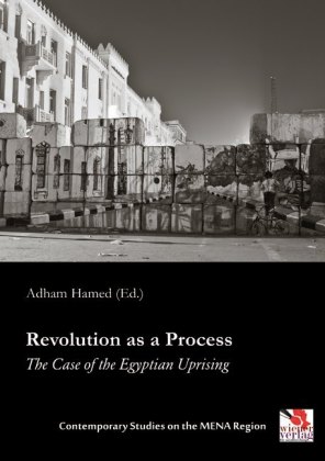 Revolution as a Process 