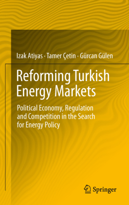 Reforming Turkish Energy Markets 