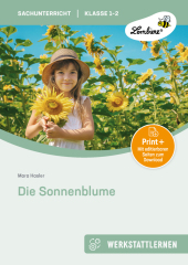 Die Sonnenblume, m. 1 CD-ROM