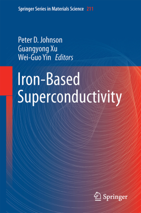 Iron-Based Superconductivity 