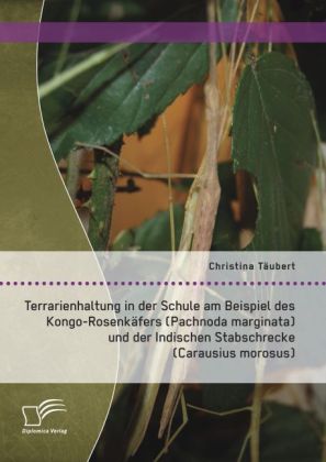 Terrarienhaltung in der Schule am Beispiel des Kongo-Rosenkäfers (Pachnoda marginata) und der Indischen Stabschrecke (Ca 
