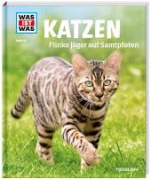 kein Cover