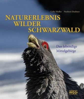 Naturerlebnis wilder Schwarzwald