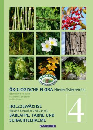 Ökologische Flora Niederösterreichs 