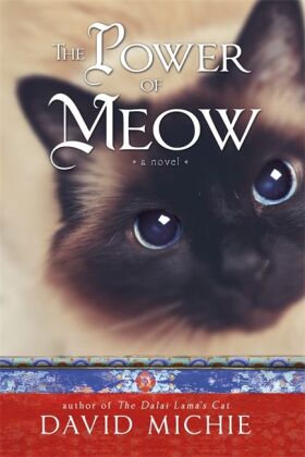The Power of Meow