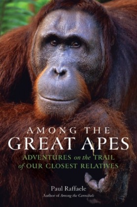 Among The Great Apes Ebook Hofer Life