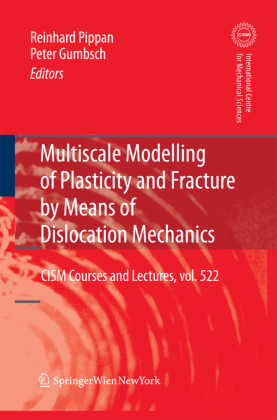 Multiscale Modelling of Plasticity and Fracture by Means of Dislocation Mechanics 